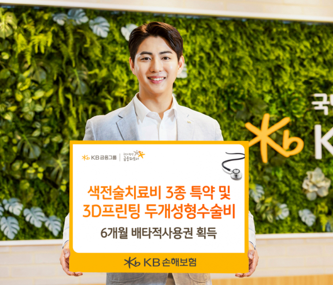 28일 KB손해보험이 이달 초 색전술치료비 3종·3D프린팅 두개성형수술비 등 4종 신설 특약에 대해 6개월간 배타적사용권을 획득했다고 밝혔다. /사진=KB금융그룹