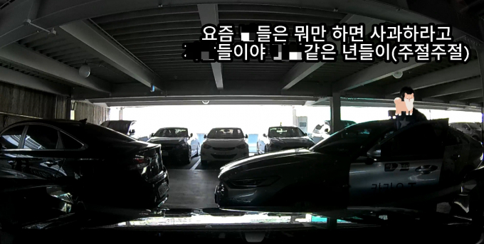기어 중립을 하지 않고 차량을 2중 주차한 택시 기사가 이동을 요구한 여성 운전자에게 욕설을 날렸다. 사진은 지난 2일 한 온라인커뮤니티에서 화제가 된 주차 시비 영상 중 일부. /사진=온라인커뮤니티 캡처