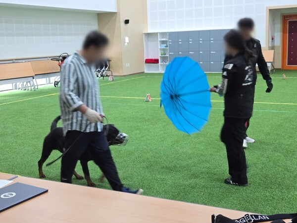 경기도 동물복지 기관에서 도내 맹견을 기르는 도민을 위한 맹견 교육을 진행하고 있다. /사진제공=경기북부청 