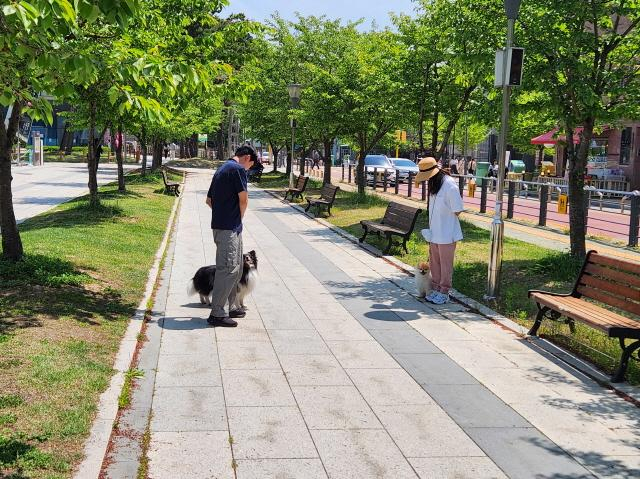 한 방문교육 선정 대상자(오른쪽)가 성남시 반려동물 행동교정 교육 상담을 받고 있다. /사진제공=성남시