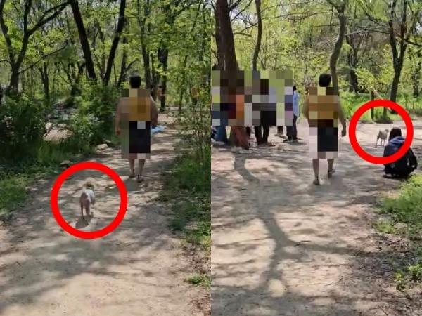 목줄 없이 반려견을 산책시키던 견주에게 목줄 착용을 요청했다가 욕설을 들었다는 한 누리꾼의 사연이 전해졌다. 사진은 목줄 요청을 받은 견주가 욕설을 내뱉자 아이들이 없는 곳에서 얘기하자고 한 후 이동하는 장면. /사진=온라인 커뮤니티 캡처