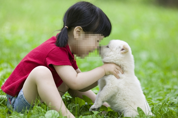 배변을 치우지 않았다던 아이는 자필사과문을 작성했다. 사진은 기사의 이해를 돕기 위한 자료 사진. /사진=이미지투데이