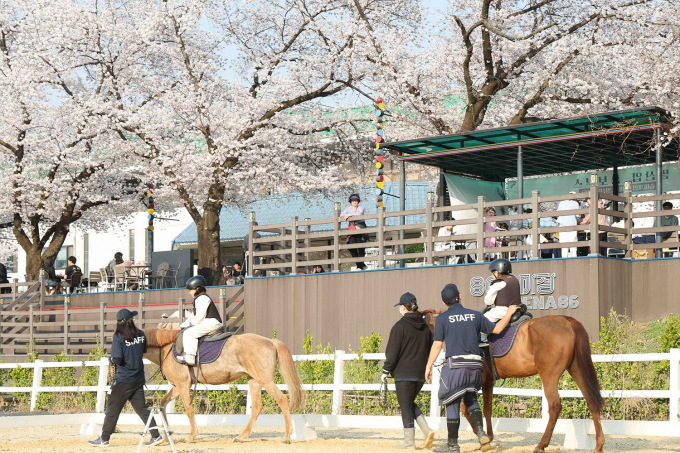서울에서 열린 도심공원 승마축제 모습/사진=한국마사회