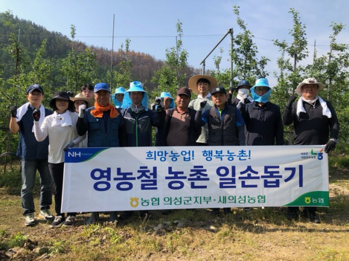 농촌 일손돕기를 마친 농협 의성지부, 새의성농협 임직원들이 단체사진을 촬영하고 있다./사진제공=NH농협은행 경북 의성지부