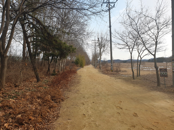 안산갈대습지 바람소리길. /사진제공=안산시