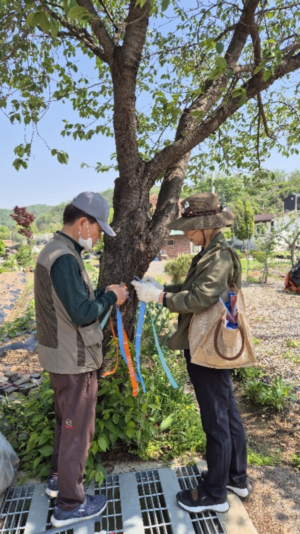  연천 한탄강 주상절리길 1~5코스 중 1코스와 4코스에서 리본달기 행사를 하고 있다. /사진제공=연천군
