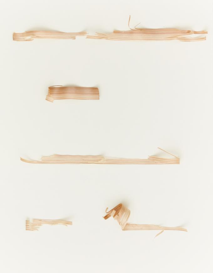 이형우, Untitled2024 Wood on Canvas117 x 91cm (노화랑 제)