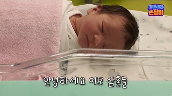 유튜브 채널 '담비손' 캡처