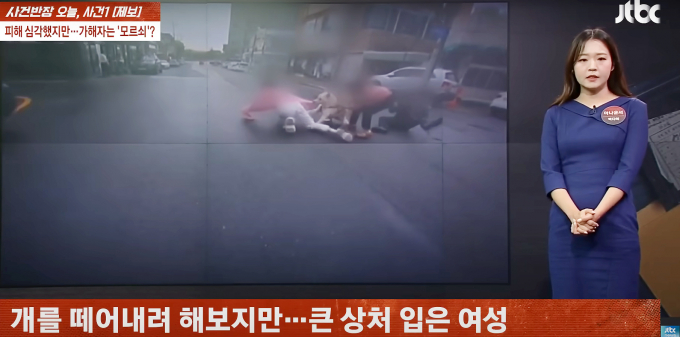 예비신부가 직장 앞에서 개물림 사고를 당한 가운데 견주 태도로 인해 억울하다는 사연이 전해졌다. 사진은 직장 앞에서 사연자가 진돗개에게 물린 모습이 찍힌 블랙박스 영상을 JTBC 사건반장에 제보한 이미지 /사진=유튜브 JTBC 사건반장 채널 캡처