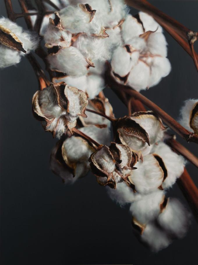 강강훈, Cotton, 2025, Oil on Canvas, 259 x 194 cm (조현화랑 제공)