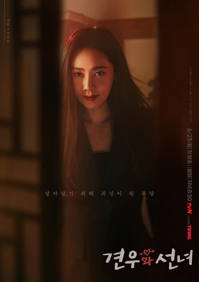 tvN '견우와 선녀' 포스터