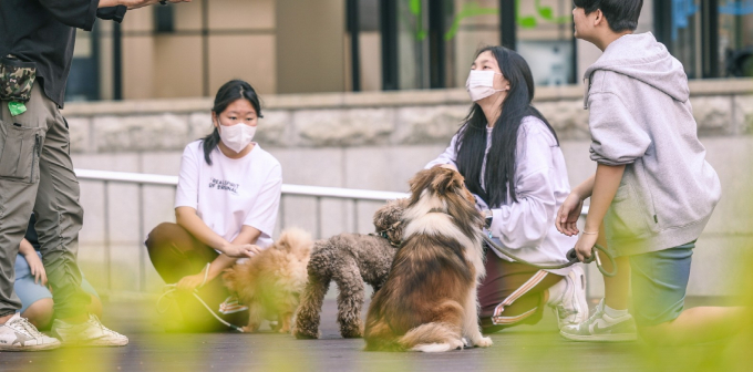 수원 청소년들이 청개구리 '진로의 날'에 애견 훈련사 체험. /사진제공=수원시