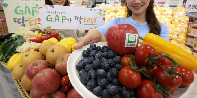  서울 중구 한 대형마트에서 판매하는 농림축산식품부 '농산물 우수관리(GAP)' 인증 농산물. /사진=뉴스1
