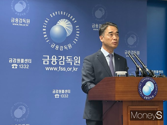 함용일 금융감독원 자본시장 회계부원장이 자본시장 변화와 혁신을 위한 대응과 향후 계획' 관련 브리핑을 하는 모습./사진=이지운 기자
