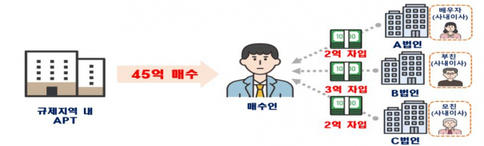 서울 주택 이상거래 합동 기획조사에서 주택 이상거래 정황이 잇따라 적발됐다. 그림은 법인자금 유용 의심 사례/자료 제공=국토교통부