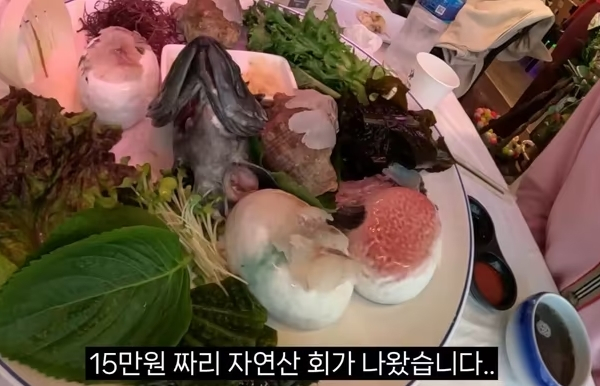 속초의 한 횟집에서 물회를 서비스로 요구했다가 거절당한 유튜버가 "눈퉁이 맞을 뻔했다"고 주장했다. 사진은 한 유튜버가 주문한 15만원짜리 모둠회 일부. /사진=유튜브 채널 '박대김' 캡처