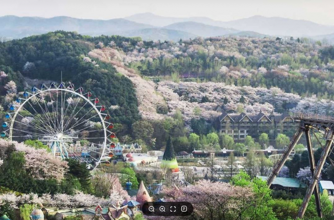 에버랜드 전경. /사진제공=용인특례시