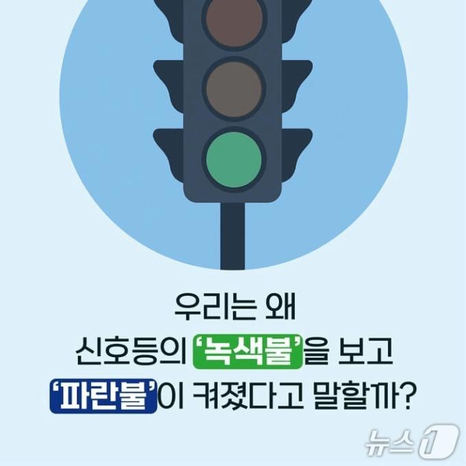 언어가 세계를 감각하는 법