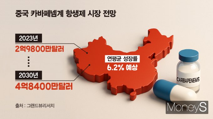 중국 카바페넴계 항생제 시장 전망. /인포그래픽=김은옥 기자 
