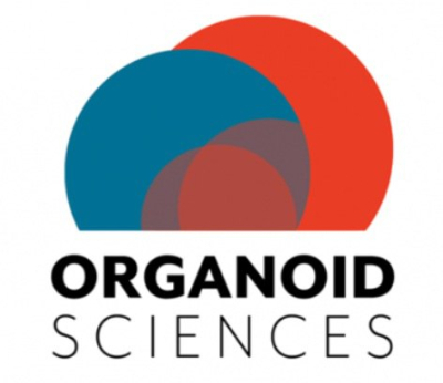[특징주] 오가노이드사이언스, 미 FDA 동물실험대체 평가법 제출 '강세'