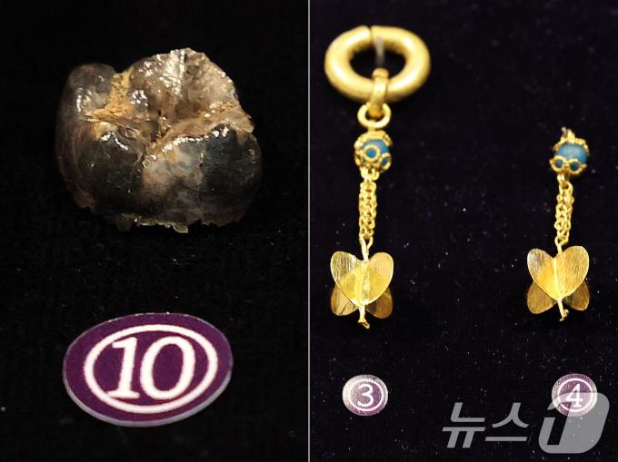17일 서울 중구 한국의집에서 열린 ‘공주 무령왕릉과 왕릉원 조사성과’ 언론공개회에서 출토된 유물인 귀걸이와 백제 23대왕 삼근왕의 어금니로 추정되는 치아(왼쪽)와 왕족의 귀걸이를 공개하고 있다. 국가유산청 국립부여문화유산연구소는 23년 9월부터 1-4호분에 대한 발굴조사를 진행해 왕족의 장신구와 삼근왕의 어금니로 추정되는 치아 등을 발굴 했다고 밝혔다. 2025.6.17/뉴스1 ⓒ News1 박세연 기자
