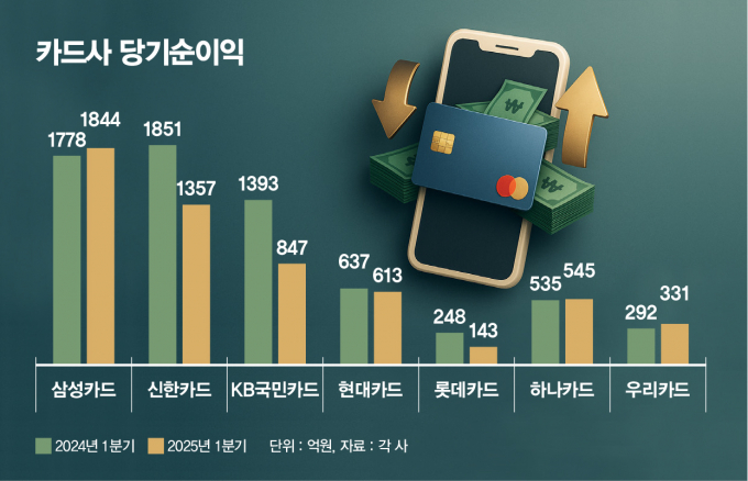 기로에 선 카드사