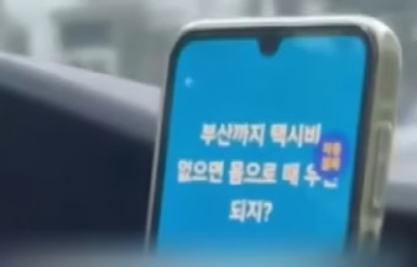 한국 택시기사가 태국인 관광객 여성에게 부적절한 성희롱 발언을 해 논란이 일었다. 사진은 한국 택시기사가 태국인 관광객에게 번역기를 통해 한 성희롱 발언. /사진=틱톡 캡처