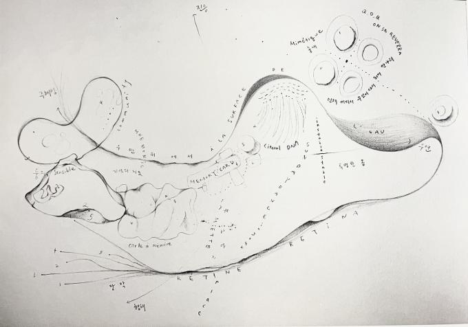 김보라 마음의 지도_2024_연필, 종이, 스캐너, 프린트, 지점토, 베갯잇_31.4 x 93 cm1 (서울시립미술관 제공)