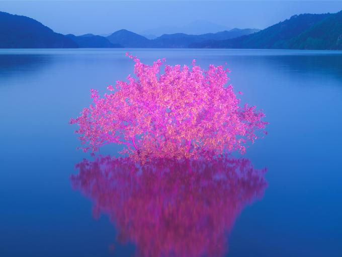 이정록 Private Light 12-1 90x120cm,120x160cm Archival Pigment print 2025 (갤러리나우 제공)