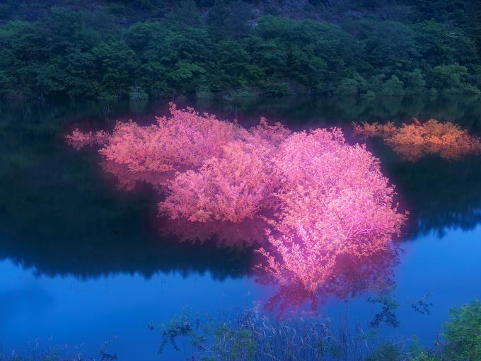 이정록 Private Light 23 90x120cm,120x160cm Archival Pigment print 2025 (갤러리나우 제공)