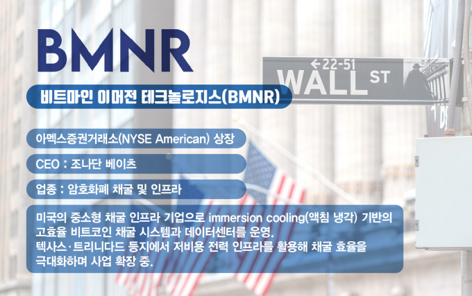 사진은 비트마인 이머전 테크놀로지스(BMNR) 기업정보. /사진=김은옥 기자