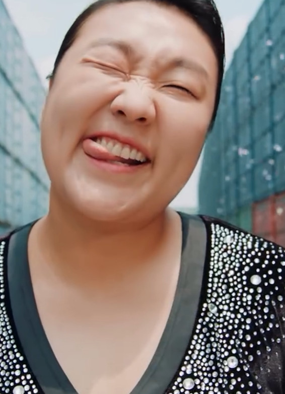 싸이 이수지