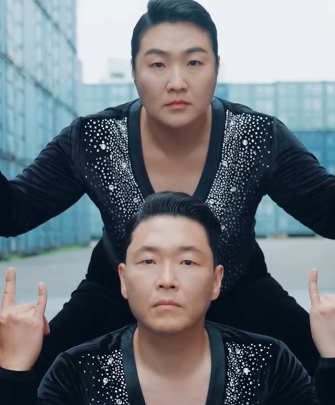 싸이 이수지