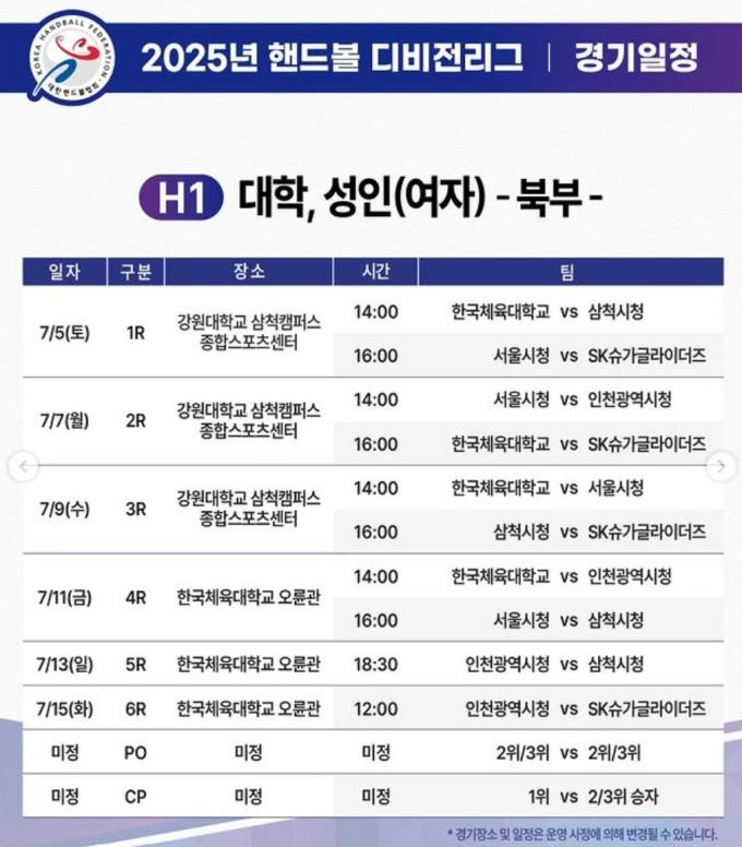 핸드볼 디비전리그가 출범한다.(대한핸드볼협회 제공)