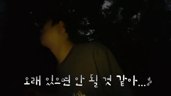 채널S