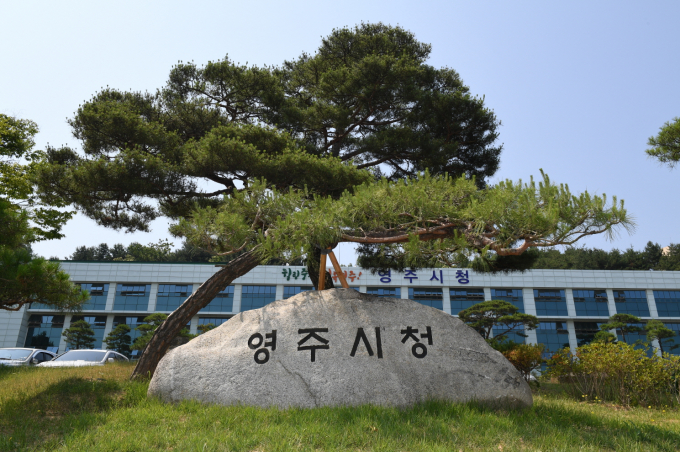 영주시청 전경/사진제공=경북 영주시