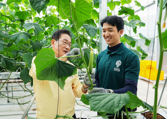 스마트팜을 찾은 최기문 영천시장(왼쪽)이 첫 수확된 오이를 살펴보고 있다./사진제공=경북 영천시