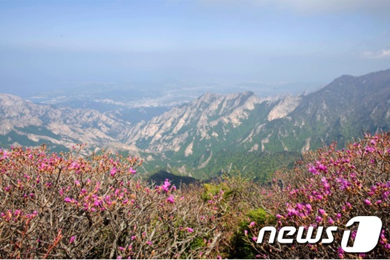 금강산 비로봉 전경. ⓒ News1