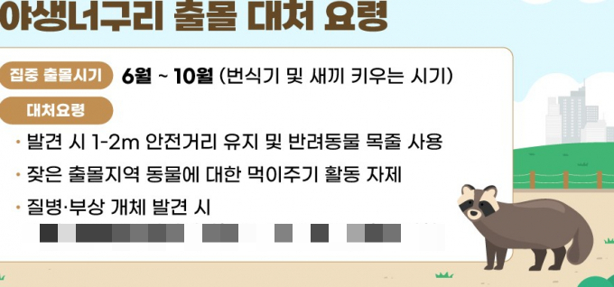 안양시의 '야생너구리 출몰 대처 요령' 안내. /사진=안양시