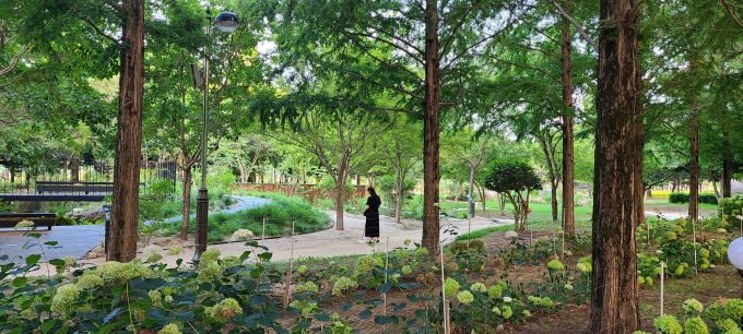 경남 진주에 조성된 도시숲 모습./사진=경남도