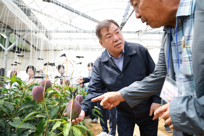 이승화 산청군수가 신소득 작물인 애플망고 농가를 방문해, 주민과 대화를 하고 있다./사진=산청군
