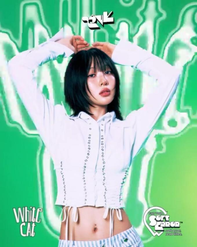 파익스퍼밀