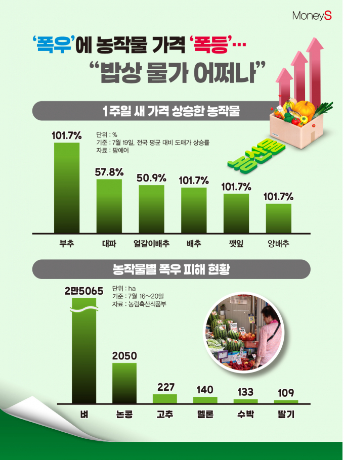 /그래픽=김은옥 기자