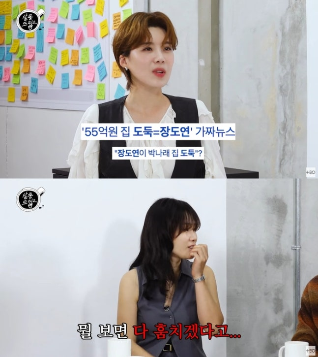 개그우먼 장도연이 박나래 자택 도난사건의 도둑으로 몰린 가짜뉴스에 대해 언급했다. /사진=유튜브 채널 '테오' 캡처