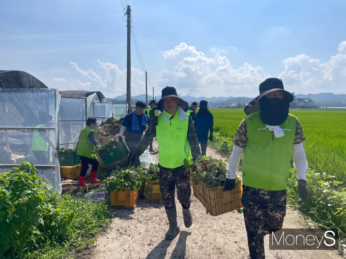 전남농협·전북농협 임직원들이 집중호우로 침수 피해를 겪은 담양의 한 딸기 재배 비닐하우스를 찾아 복구작업을 하고 있다/사진=농협전남본부 제공.