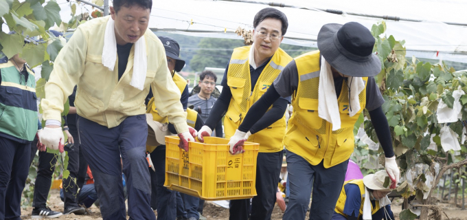 김동연 지사(가운데)가 이번 집중호우로 피해를 입은 가평군 상면 한 포도밭에서 쓸려 내려온 토사를 치우고 있다. /사진=경기도 