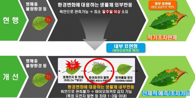 생체정보 기반 불량환경 대응 체계. /사진제공=경기도농업기술원 