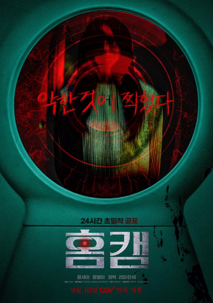 홈캠 포스터