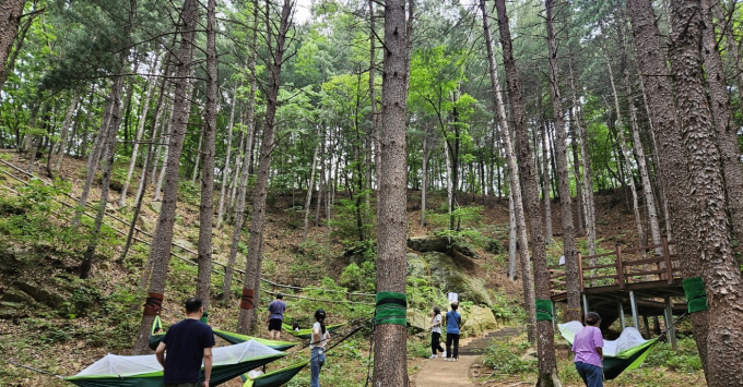 다양한 산림체험 시설을 갖춘 동두천지유의숲 모습. /사진제공=경기도