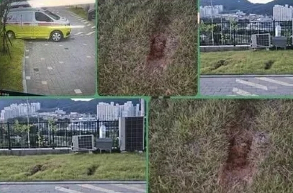 119구급차가 아파트 잔디를 훼손했다며 주민들이 민원을 제기한 사실이 알려져 파문이 일고 있다. 사진은 119구급차가 아파트 잔디를 훼손한 모습. /사진=온라인 커뮤니티 캡처